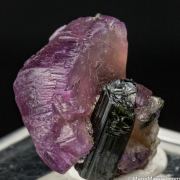 Apatite with Tourmaline