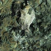 Atacamite with Libethenite and Hallyosite