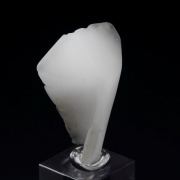 twinned WHEWELLITE