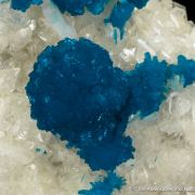 Cavansite on Stilbite