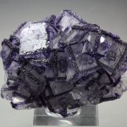 FLUORITE with PHANTOMS - border pattern