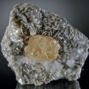 Scheelite with Apatite on Muscovite