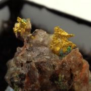 Native Gold. 9.95 ct.