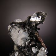 Beryl (var. Goshenite) on Schorl