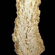 Baryte