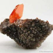Wulfenite