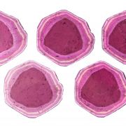 Tourmaline Var. Liddicoatite