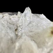 Whewellite CZECH REP.