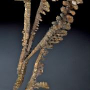 Copper-Fine  Spinel twins, Herringbone crystals