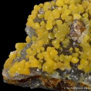 Greenockite included Smithsonite with Sphalerite on Quartz