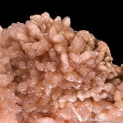 Poldervaartite (Type Locality)