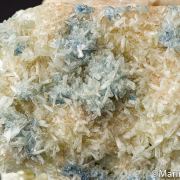 Paravauxite, Vauxite on Wavellite