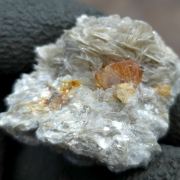 Scheelite on Muscovite