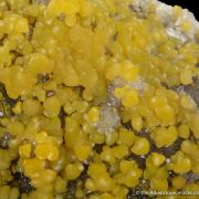 Greenockite included Smithsonite with Sphalerite on Quartz