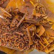 Wulfenite