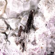 Painite and Chondrodite, Pyrite, Ruby