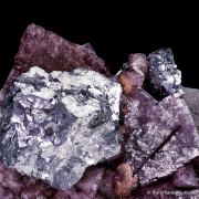 Galena on Fluorite