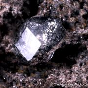 Analcime (Type Locality) with Magnetite
