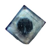 Fluorite OKORUSU TN
