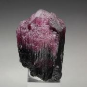 TOURMALINE var. RUBELLITE