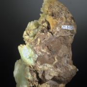 Phosphophyllite - crystals in fossil clamshell cast.