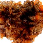 Creedite.