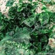 Torbernite