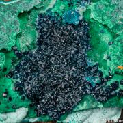 Cornetite on Malachite
