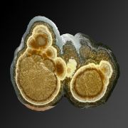 Baryte, marcasite