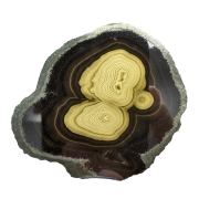 Schalenblende - sphalerite, wurtzite, marcasite