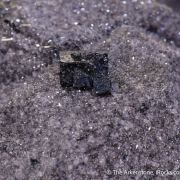 Hematite ps. Almandine Garnet with Bixbyite