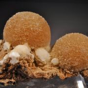 Thomsonite-Ca