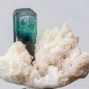Indicolite on Albite