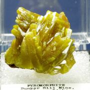 Pyromorphite