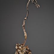 Silver (crystallized wire with 