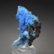 EVANSITE