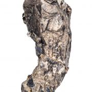 Silver (Crystallized) with Argentite