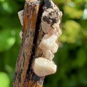 Aegerin, Orthoclase, Quartz - Mt. Malaso, Zomba, Malawi