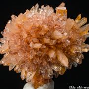 Creedite