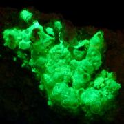 Opal var. hyalite CRAZY FLUORESCENCE