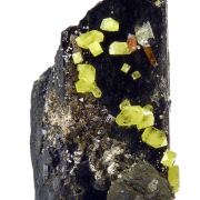 Zircon, aegirine, chamosite, titanite
