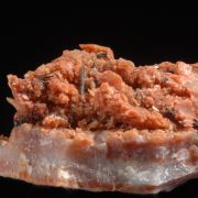 Groutite on petrified wood