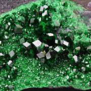 GARNET var. UVAROVITE