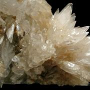 Creedite