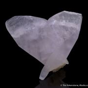 Calcite var. Manganoan (butterfly-twinned)