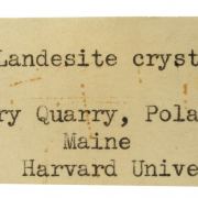 Landesite (Rare, Superb Crystal)