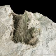 Millerite