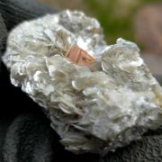 Scheelite on Muscovite