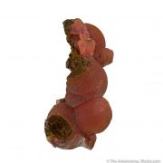 Rhodochrosite