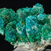 Cuprian Adamite, Rosasite, Smithsonite, Malachite on Calcite casts